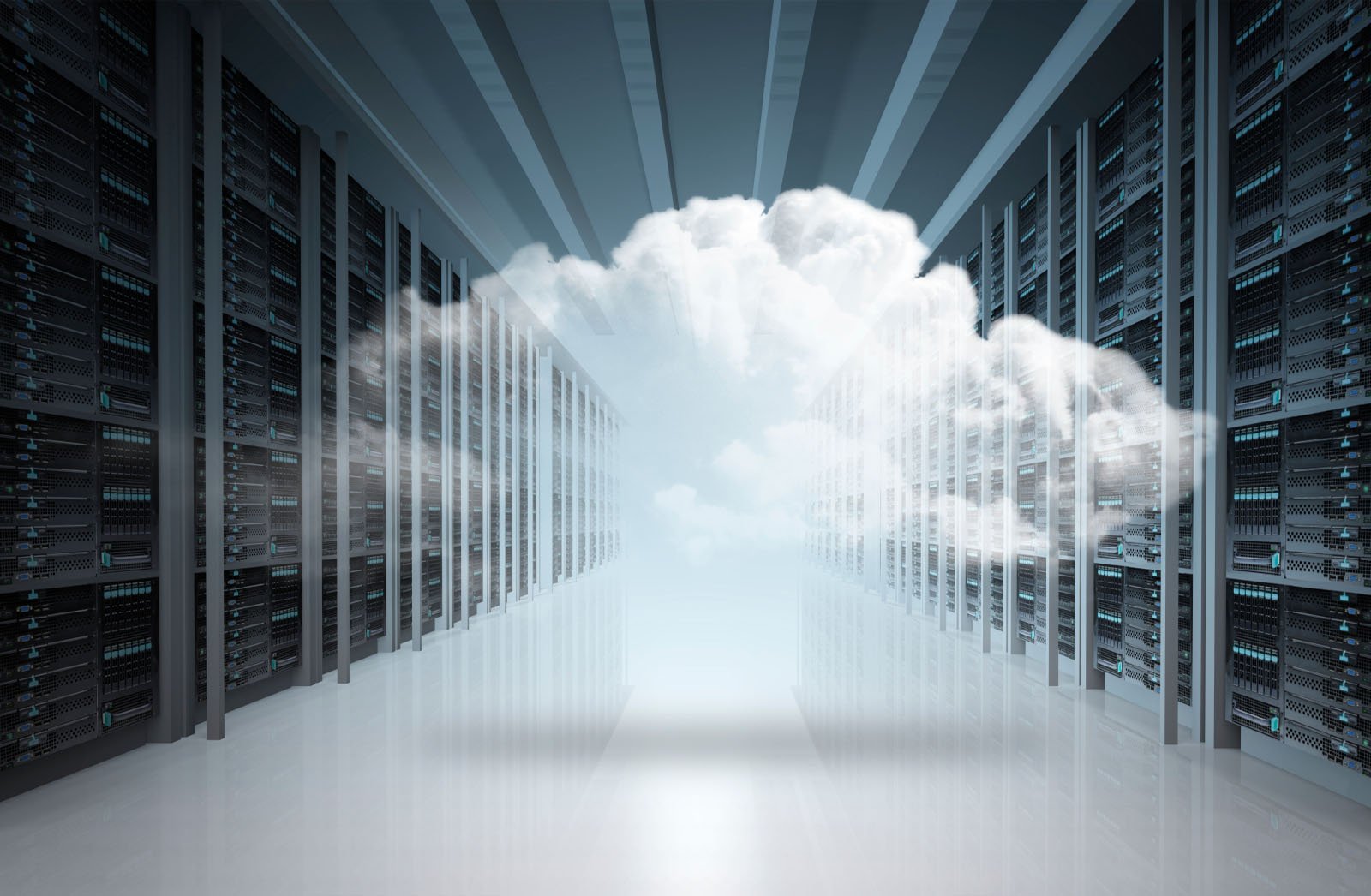 Profesyonel Web Hosting