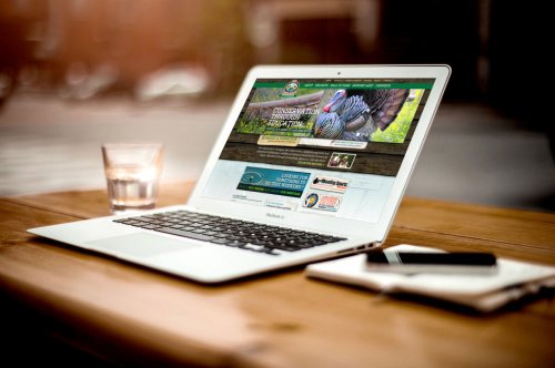 Küçük İşletmeler İçin SEO: Nereden Başlamalı?